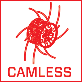 System bezkrzywkowy CAMLESS