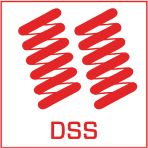 DSS - dvojno vzmetenje