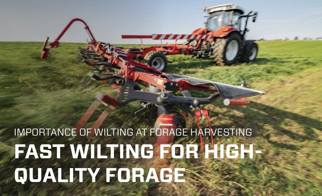FAST WILTING FOR HIGH-QUALITY FORAGE